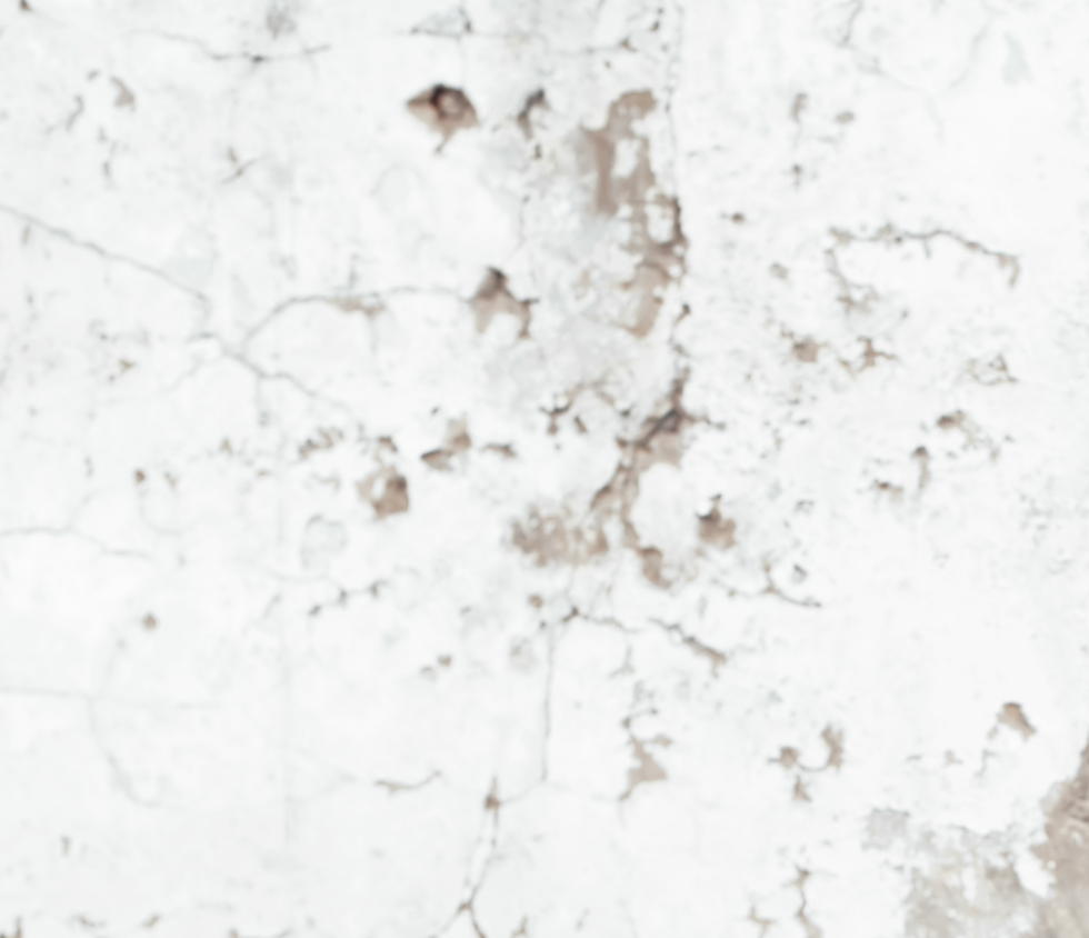 Lorem Ipsum